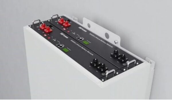 Dyness APBOX B4850 4,8kWh, Batería de Litio (48V) LiFePO4 - Imagen 2